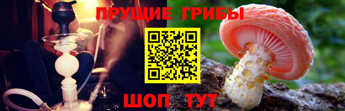 Мытищи  как найти закладки  Вход с VPN  Галлюциногенные грибы GOLDEN TEACHER 
